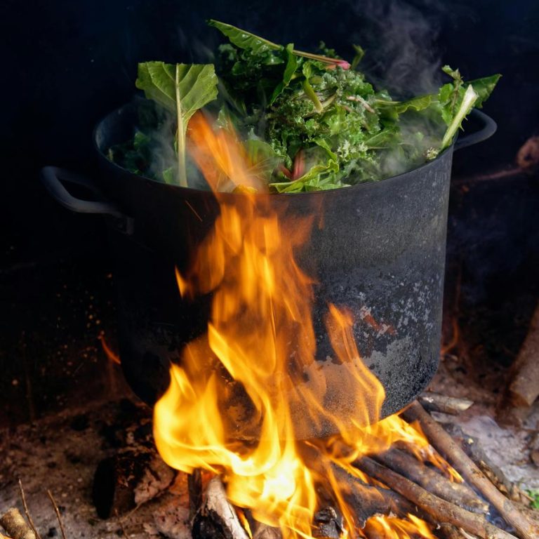 vegetable-stew-eb52e104860e4e989f2b73012bc30768